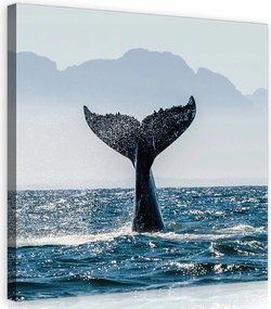 Vászonkép 40x40 Bálna farok óceán tenger szellő hullámok horizont természet
