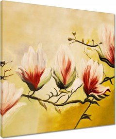 Vászonkép 50x50 Magnólia