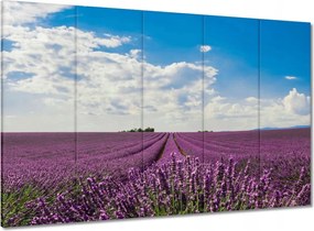Vászonkép 100x70 Levendulamező Levendula