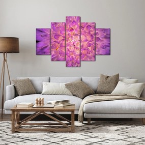 Részletes virágkép (150x105 cm)