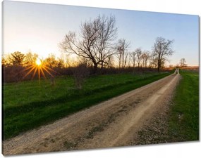 Vászonkép 100x70 Mező út Fák Mezők