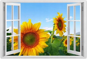 Poszterek 60x40 Napraforgók Égbolt