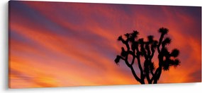 Naplemente egy fa sziluettje felett (120x50 cm)