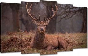 Vászonkép 100x60 Szarvas felszarvazott