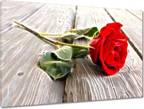 Vászonkép 120x80 Kozmikus rózsa