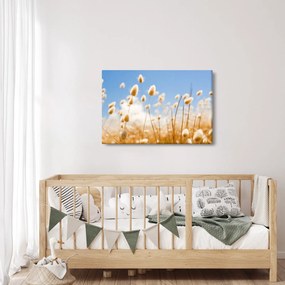 Kép - Arany mező (90x60 cm)