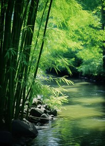 Poszter 39,5x55cm Bambusz nyugalom