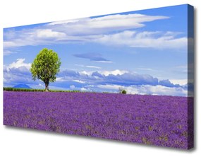 Vászonkép nyomtatás Field Lavender fa 100x50 cm