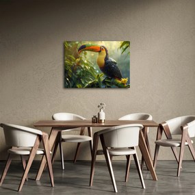 Kép - Tukan (70x50 cm)