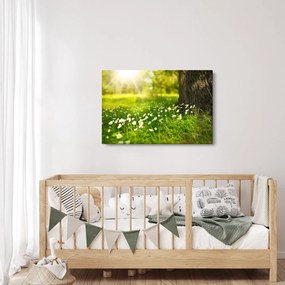 Tisztás és a virágok képe (90x60 cm)