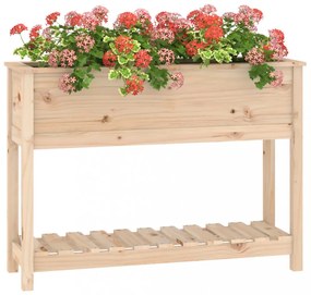 tömör fenyőfa növénytartó polccal 111,5x34,5x81 cm