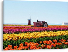 Tulipánfarm képe (70x50 cm)