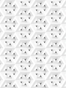 Fotótapéta Geometria Absztrakt Fekete-Fehér Kuby Design 206x275 +ragasztó