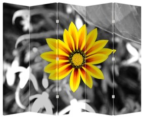 Paraván -  Sárga virágok (210x170 cm)