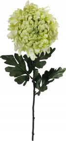 Krizantém nagy szimpla zöld 86cm Virágok