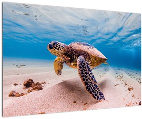 Teknős képe az óceánban (90x60 cm)