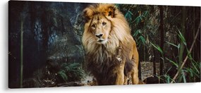 Oroszlán a vadonban (120x50 cm)
