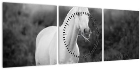 Egy fehér ló képe egy réten, fekete-fehér (órával) (90x30 cm)