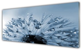 Akril üveg kép Gyermekláncfű virág Csepp 125x50 cm