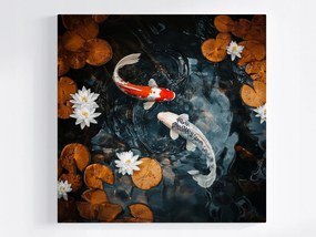 Poszter Halak Pontyok Koi Japán Tavirózsa Természet 80x80