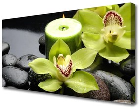 Canvas kép orchidea virágok 100x50 cm