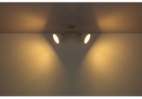 Globo 54018-2 - Spotlámpa WIHO 2xE27/40W/230V