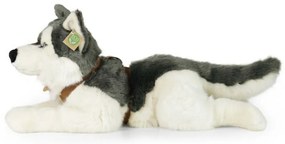 Rappa Plüss husky hámmal 60 cm ECO - FRIENDLY