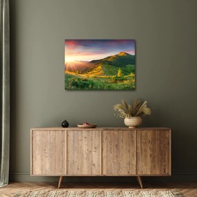 Kép - Nyári táj (70x50 cm)