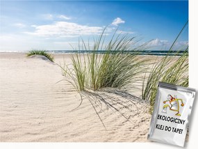 Fotótapéta Flizelina Kilátás Tengerpart Dűnék Kerekek Fű 250x175 ragasztó