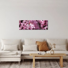 Kép - Rózsaszín sakura (órával) (90x30 cm)