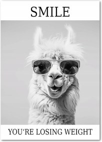 Lavema Dekoratív kép poszter keret nélkül vicces fali fekete-fehér