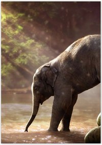 Poszterek 70x100 Anyai szeretet