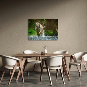 Futó tigris képe (üvegen) (70x50 cm)