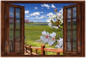 Poszterek 90x60 Lépcsőn lefelé