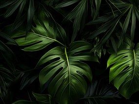 Poszter 20x15cm Zöld suttogás