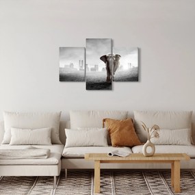 Kép -Elefánt egy nagyvárosban, fekete-fehér változat (90x60 cm)