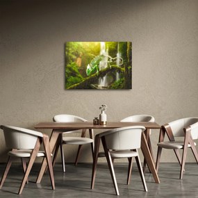 Kaméleon képe (70x50 cm)