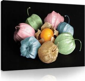 Vászonkép falikép levelek 100x75