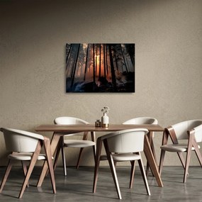Sötét erdő képe (üvegen) (70x50 cm)