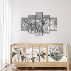 Kép - Róka, fekete, fehér (150x105 cm)