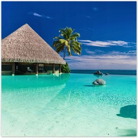 Poszterek 140x140 Trópusok Tájkép Pálmafák