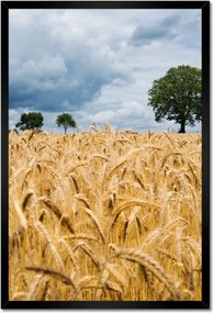 Poszterek keretben 40x60 Aratás előtti mező Rozs