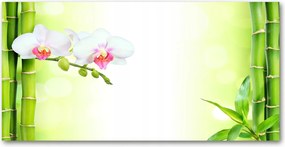 Fotó üvegkép Orchidea és bambusz 140x70