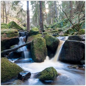 Plakátok 100x100 Hegyi zuhatagok