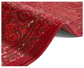 Celebration Plume piros szőnyeg, 200 x 290 cm - Hanse Home