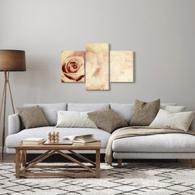 Kép - Rózsa virág szerelmeseknek (90x60 cm)