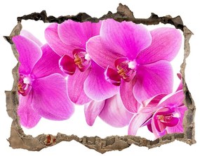 3d-s lyukat fali matrica Rózsaszín orchidea nd-k-67673367
