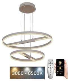 NEDES LED Dimmelhető csillár zsinóron LED/100W/230V 3000-6500K + távirányítás ND4014