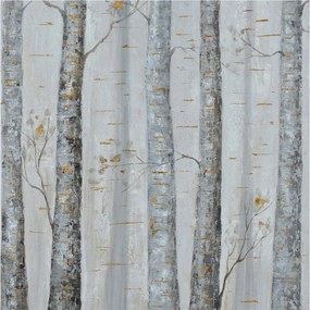 Dekoratív fotótapéta falra Könnyű összeszerelés Nyírfa 250x250 Ragasztó