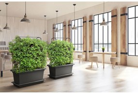 Gardenico Green Wall Magnus függőleges támasz, 80 cm